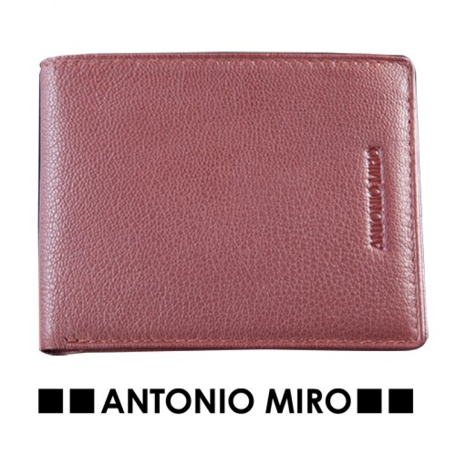 Cartera Para Empresas Fagus     -Antonio Miró-