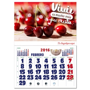 Calendario publicitario mensual 2017