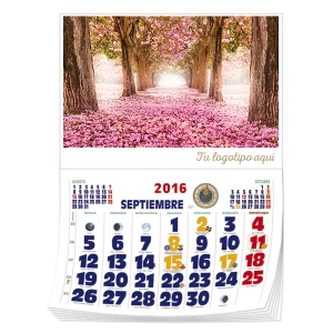 Calendario personalizado 2017