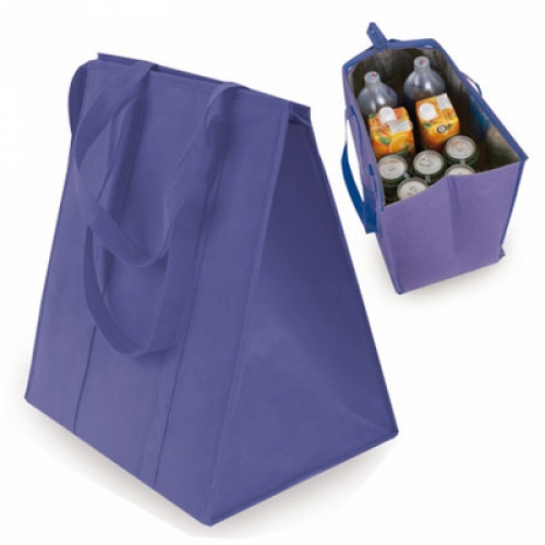 Bolsa nevera publicitaria 170